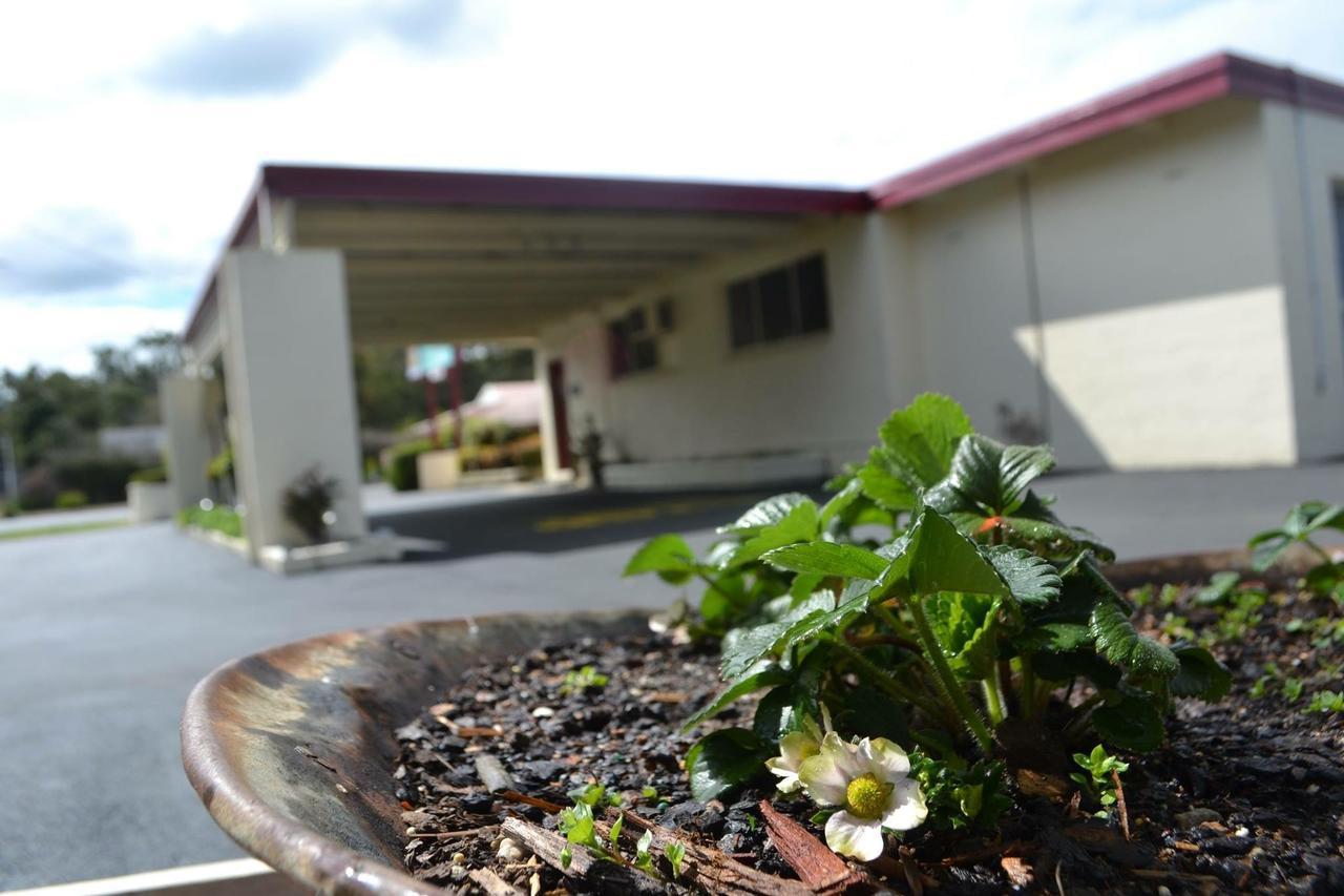 Wattle Motel Seymour Buitenkant foto